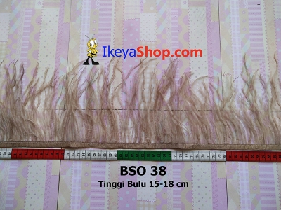BSO 38  large2